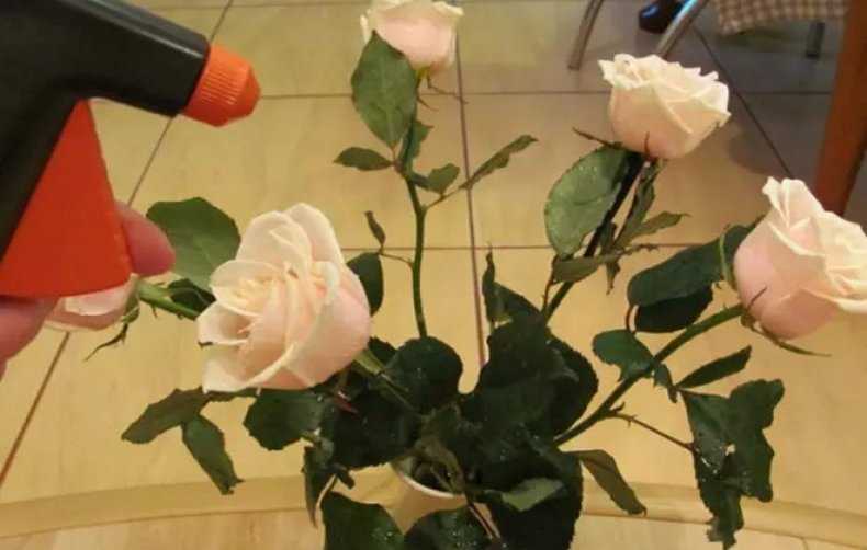 Как сохранить букет цветов в вазе дольше