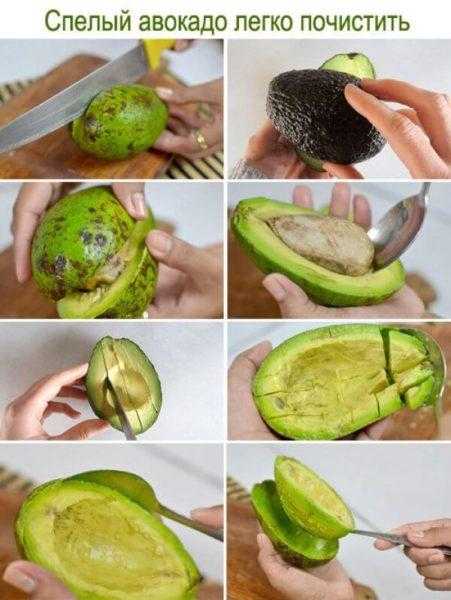 Как хранить авокадо правильно, 4 простых способа