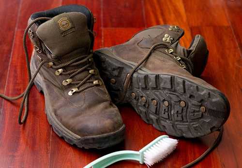 Как правильно ухаживать за обувью тимберленд