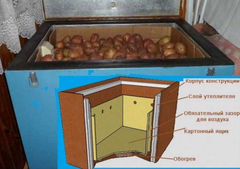 Хранение картофеля в домашних условиях: условия и правила
