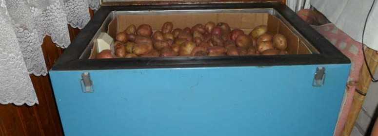 Как хранить картофель на балконе зимой, чтобы он сохранил свои полезные свойства