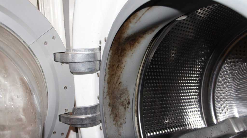 8 способов избавиться от плесени и ее запаха в стиральной машине