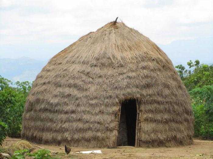 Масаи — удивительное племя в африке