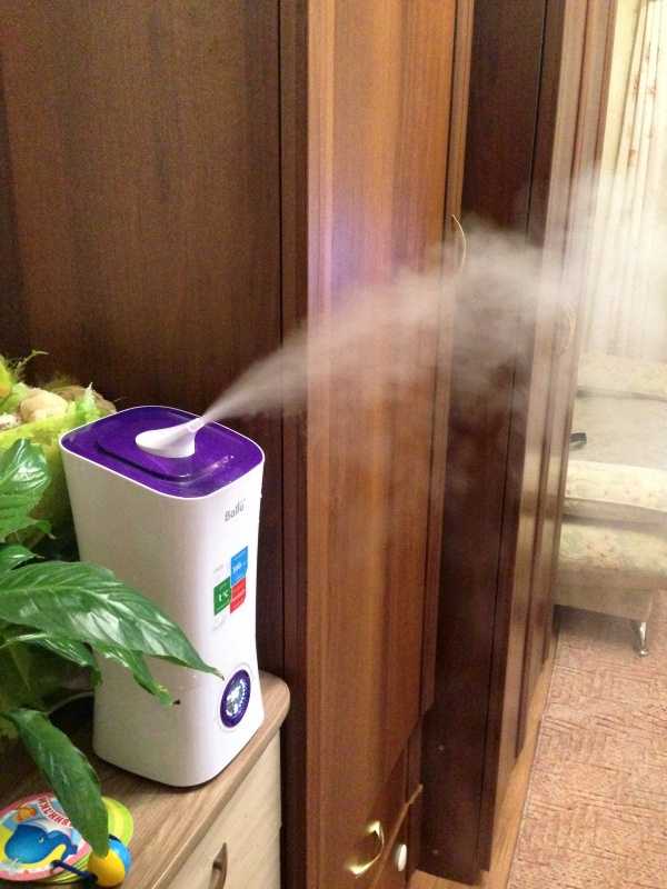 6 способов увлажнить воздух в домашних условиях без увлажнителя