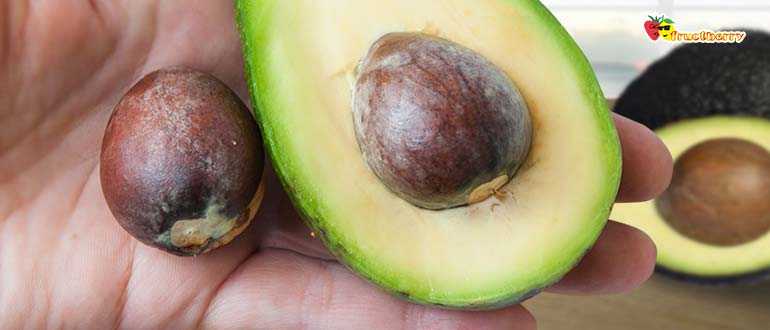 Способы правильного хранения авокадо дома