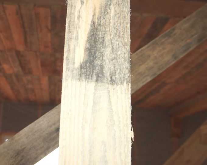 Как убрать плесень с деревянных поверхностей, избавить доски - точка j