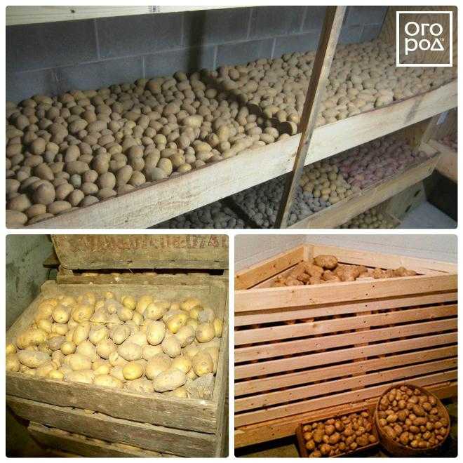 Как хранить картошку на балконе зимой: ящик для хранения картофеля и овощей