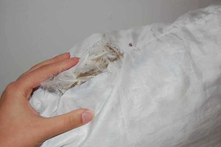 Как почистить и постирать перьевую подушку?