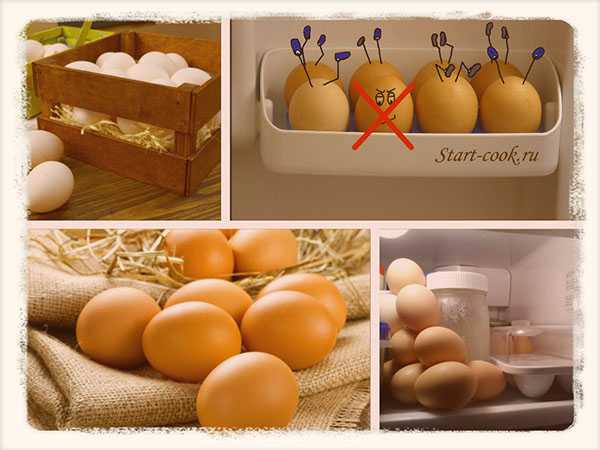 Срок хранения вареных яиц