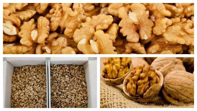 Как хранить грецкие орехи очищенные в домашних условиях: способы хранения