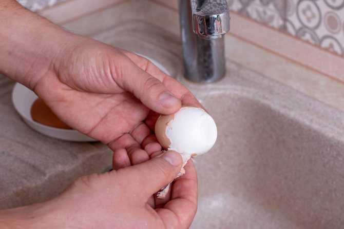 Почему яйца плохо чистятся: способы правильной варки и чистки