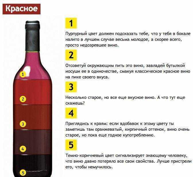 Как правильно хранить вино в бутылках в домашних условиях - продукталко