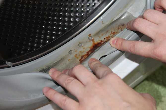 Как избавиться от плесени в стиральной машине: лучшие средства и способы