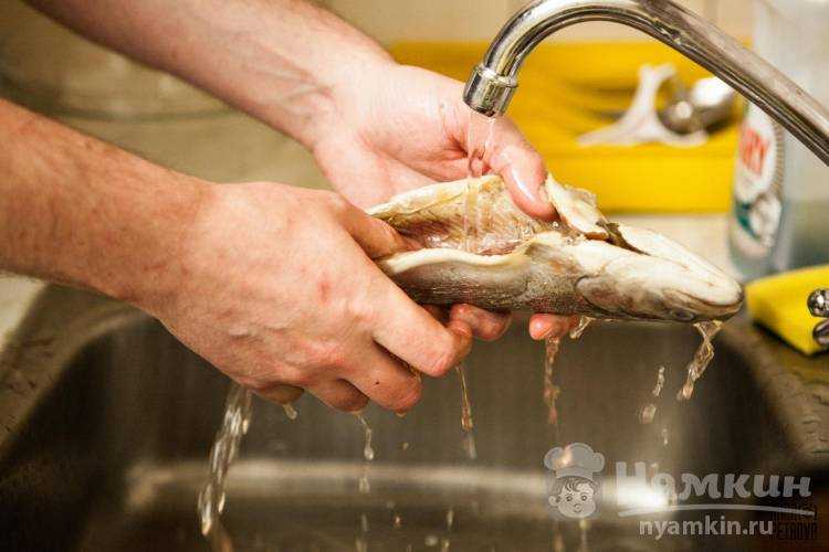 Как убрать запах рыбы с одежды, из квартиры, вывести рыбный аромат из машины, с посуды при готовке, жарке, удалить из кастрюли при варке?