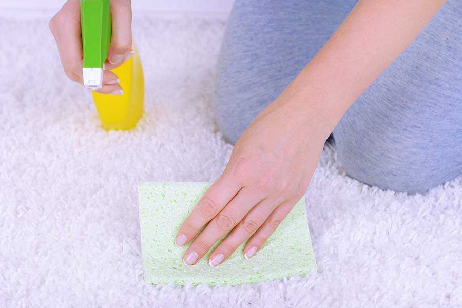 Как самостоятельно очистить ковер в домашних условиях