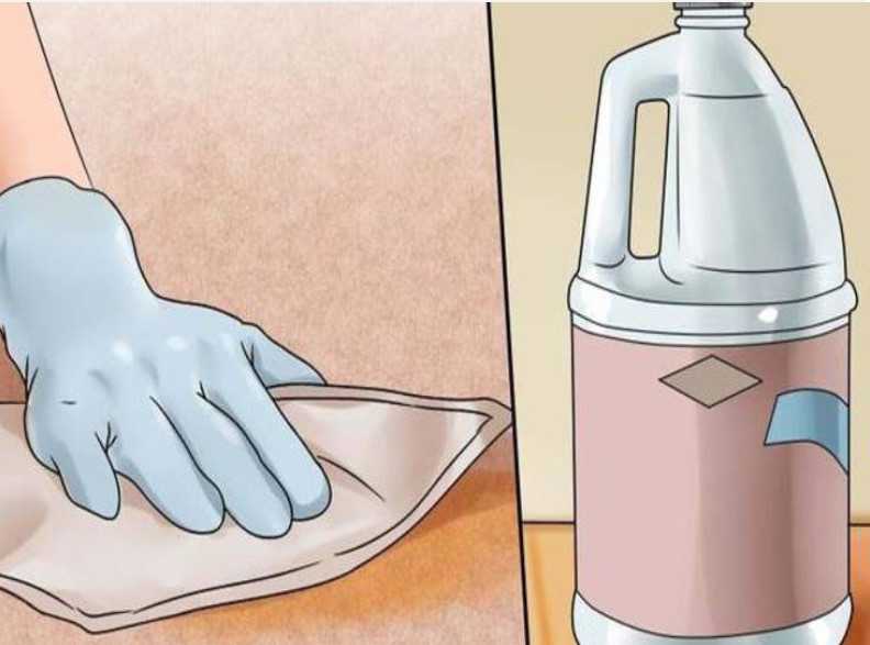 Как избавиться от запаха кота в доме- лучшие рецепты