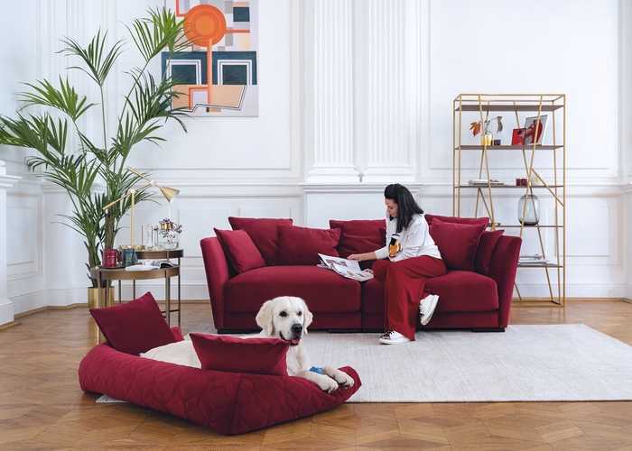 Во время процесса меблировки квартиры многие задумываются о том, чтобы поставить в комнату диван Часто возникает вопрос касаемо того, какой диван лучше приобрести и как не ошибиться в выборе