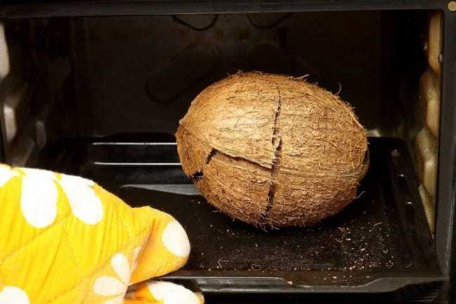 Как открыть кокос в домашних условиях, разделать и почистить его, как правильно хранить этот фрукт + видео