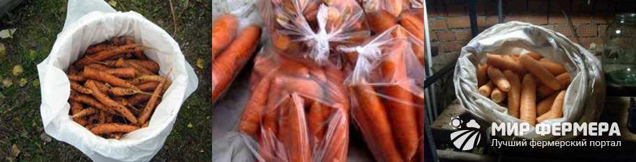 Как хранить морковь в погребе зимой: в пакетах, опилках, луковой шелухе... 8 разных способов. | красивый дом и сад