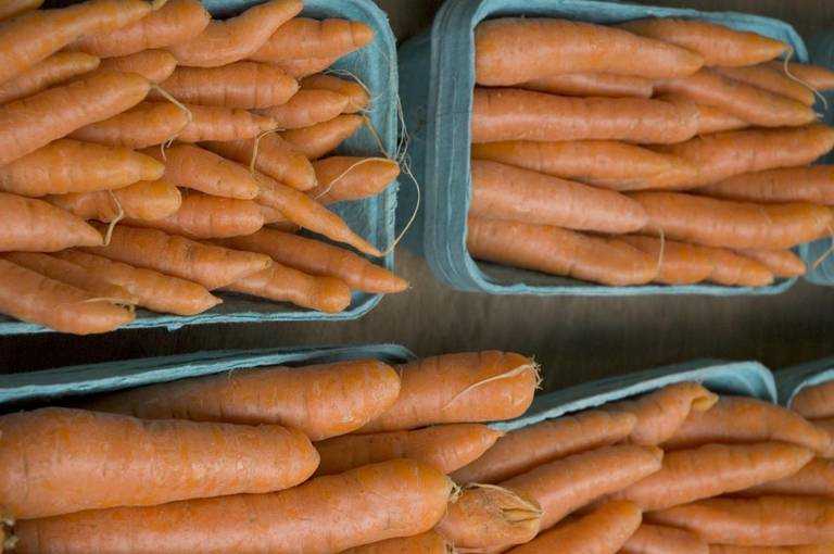 Как грамотно организовать хранение моркови в пакетах?