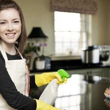 Средство для мытья посуды своими руками, моющее средство для посуды в домашних условиях