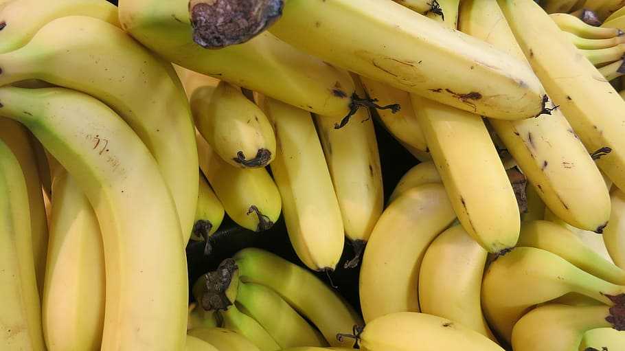 Диета: почему запрещено хранить авокадо и яблоки рядом с бананами или киви