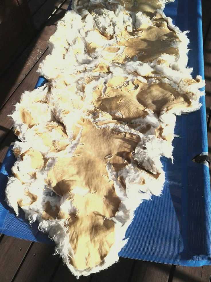 Как почистить мех овчины в домашних условиях на различных изделиях, выбор способа