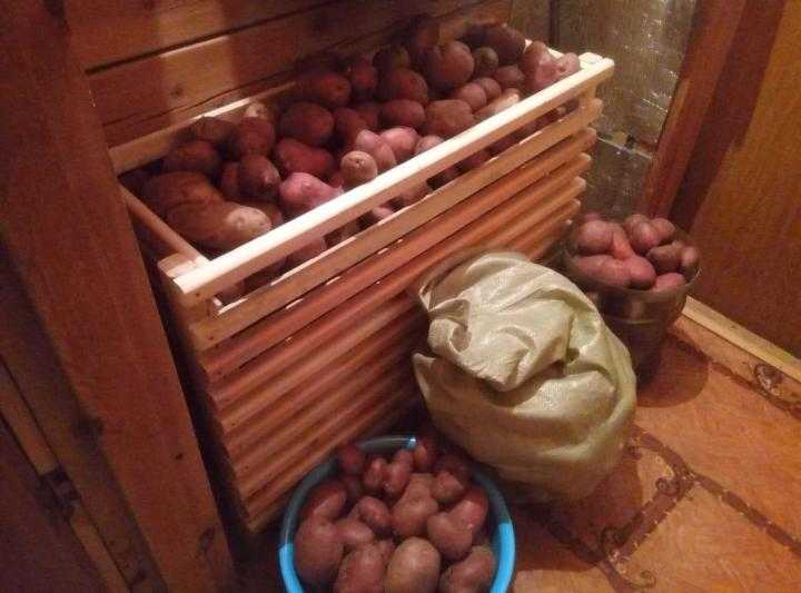 Как в квартире хранить картошку правильно и безопасно