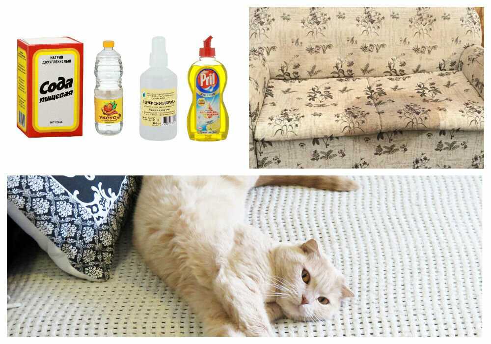 Как убрать запах мочи с дивана: топ-6 способов в домашних условиях