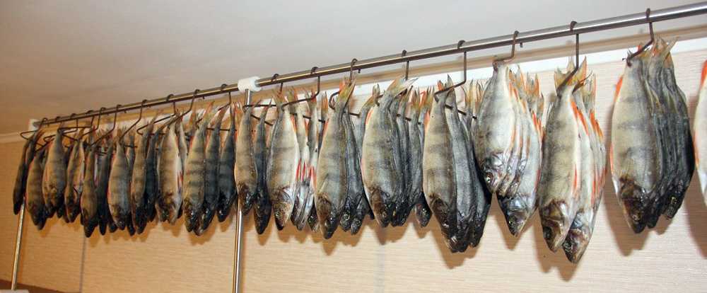 Как хранить рыбу в свежем, соленом и копченом виде дома
