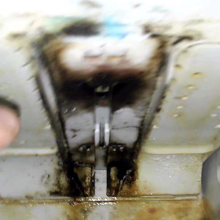 Методы эффективного удаления плесни в стиральной машине