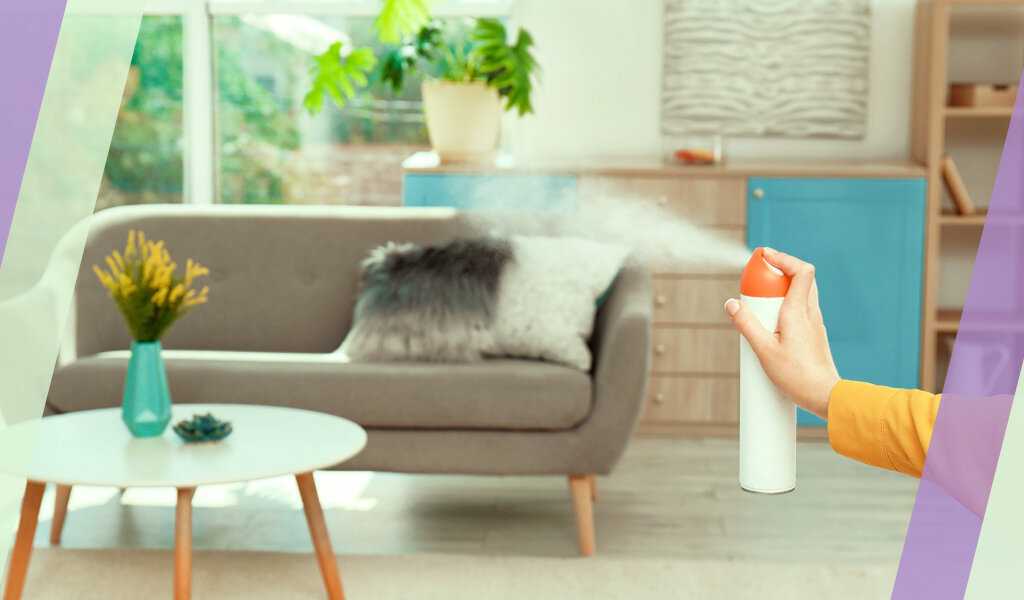 Как устранить запах сырости в жилище. эффективные рекомендаций как избавиться от запаха сырости