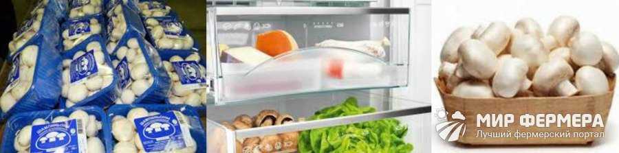 Сколько и как можно хранить шампиньоны ?в холодильнике: срок годности грибов в домашних условиях