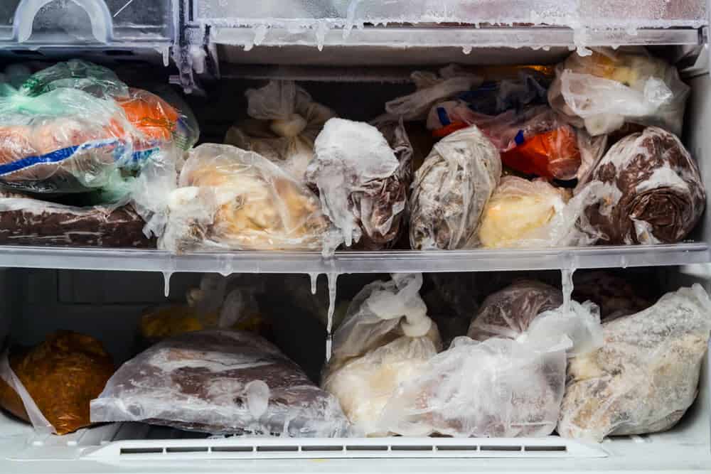 Как сохранить рыбу без холодильника при перевозке