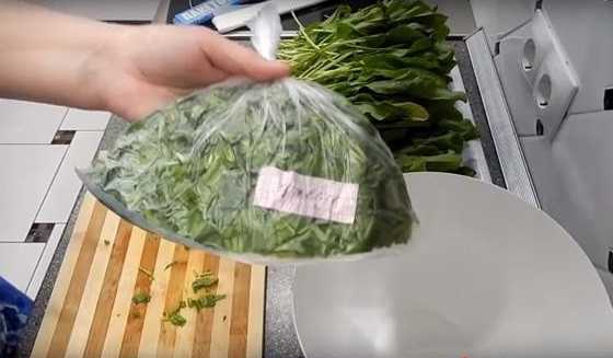 Тонкости хранения свежей зелени в холодильнике