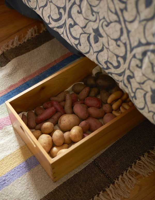 Способы хранения картофеля в квартире