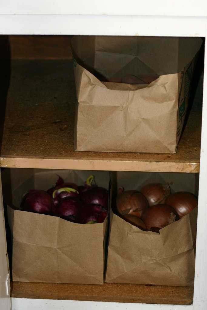 Как правильно хранить картофель в квартире. где лучше хранить