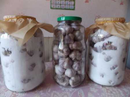 Как хранить чеснок: способы хранения чеснока на зиму в домашних условиях