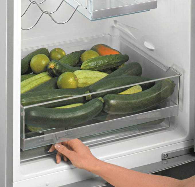 Как сохранить свежие огурцы в холодильнике на зиму.  выбираем место для хранения и способ | дачная жизнь