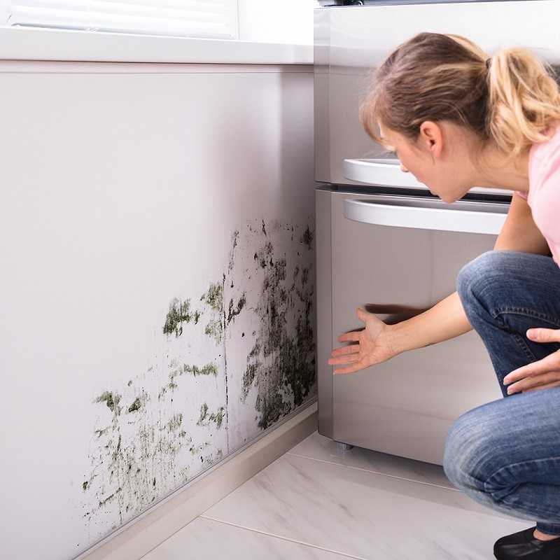 8 советов, как избавиться от сырости в квартире