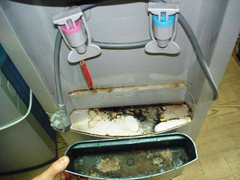 Почистить кулер для воды в домашних условиях