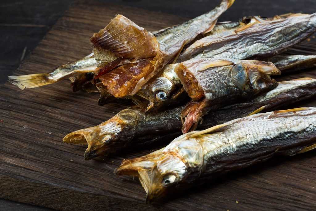Как хранить сушеную рыбу в в домашних условиях: где хранить сухую таранку, срок хранения вяленой в холодильнике, как правильно засушить, сколько хранится, заготовка рыбы на длительное хранение