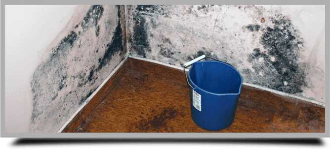Как просушить погреб от сырости в подвале частного дома: что делать
