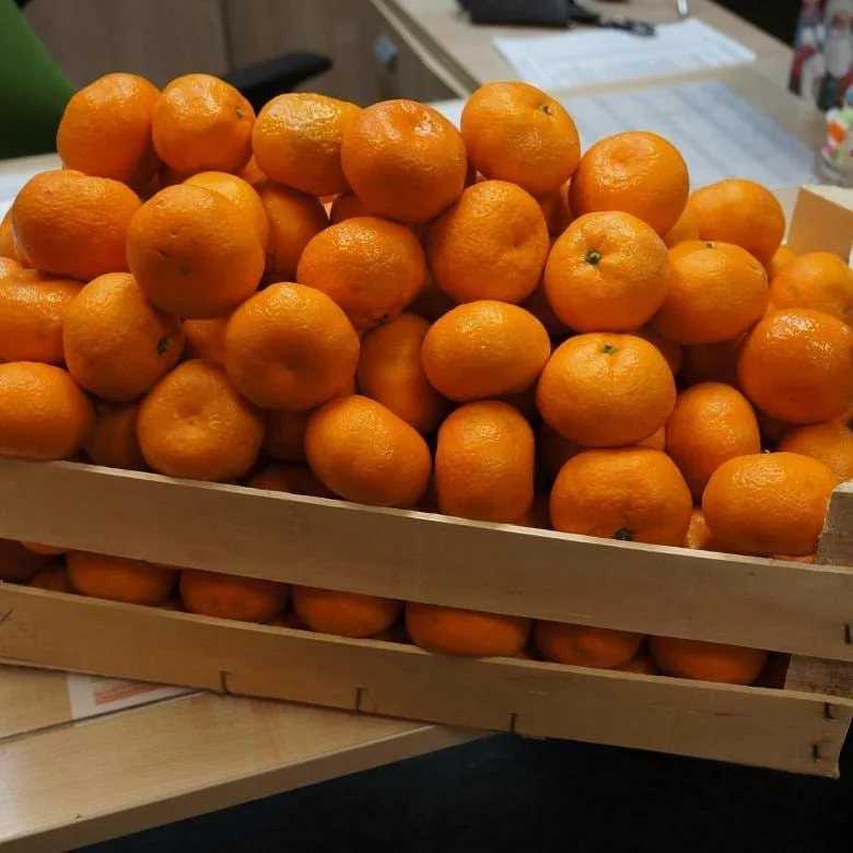 Срок годности и правила хранения мандаринов