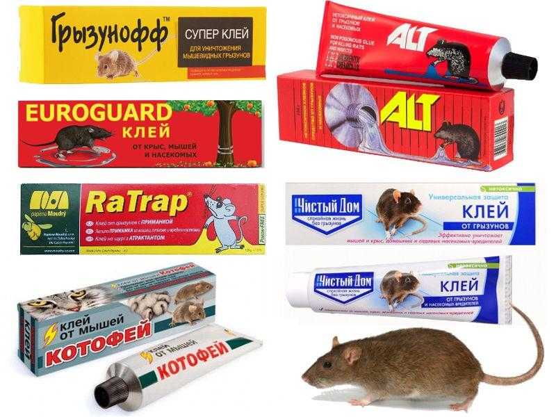 Каким средством можно отмыть клей от мышей