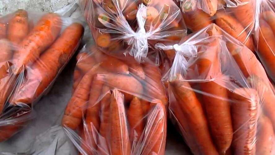 Хранить морковь в погребе можно в коробках с песком, который предотвратит перепад температур, можно хранить в опилках, которые вберут лишнюю влагу. Хранить нужно подальше от яблок.