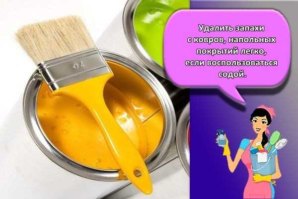 Как убрать запах краски в квартире после ремонта или покраски пола: советы и способы, как быстро вывести неприятный аромат из помещения