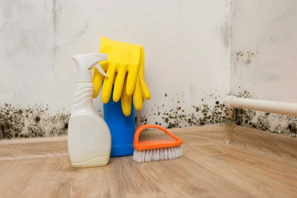 8 советов, как избавиться от сырости в квартире