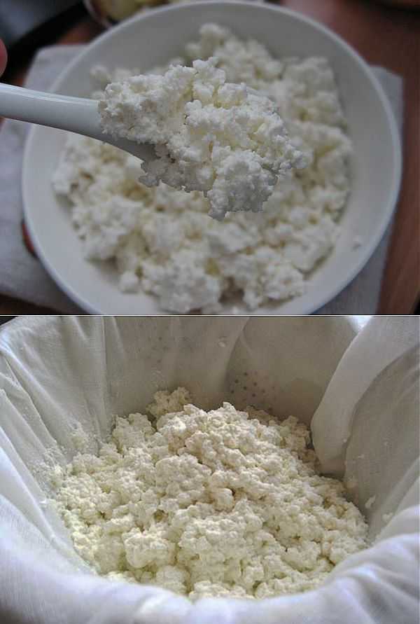 Можно ли заморозить кефир, а потом разморозить: хранение в морозилке, рецепт творожного сыра