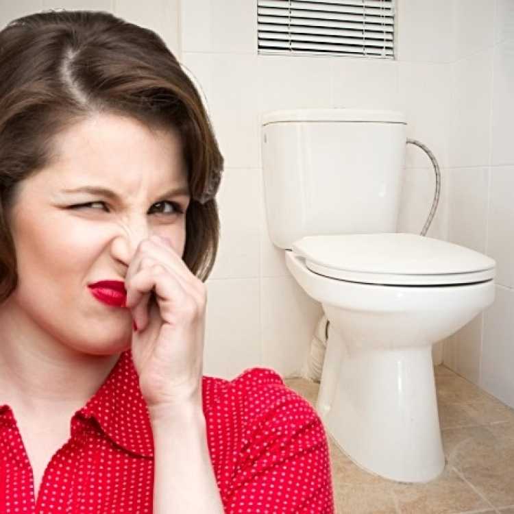 Причины появления запаха в туалете и способы решения проблемы